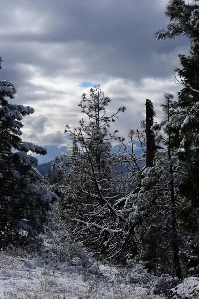 DSC_0762 (Large).JPG